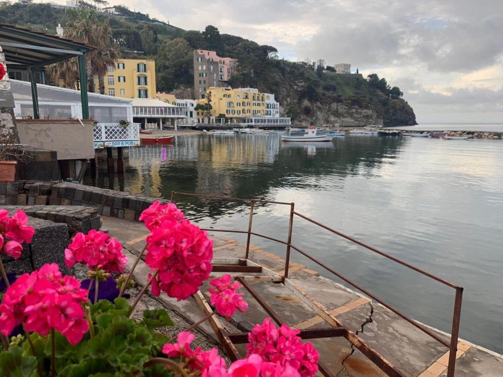 B&B Lodge Dell'Ospite Ischia Казамиччола-Терме Экстерьер фото